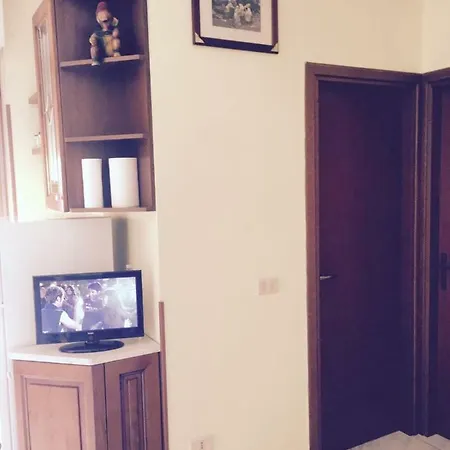 Rosa * ألبا أدرياتيكا
